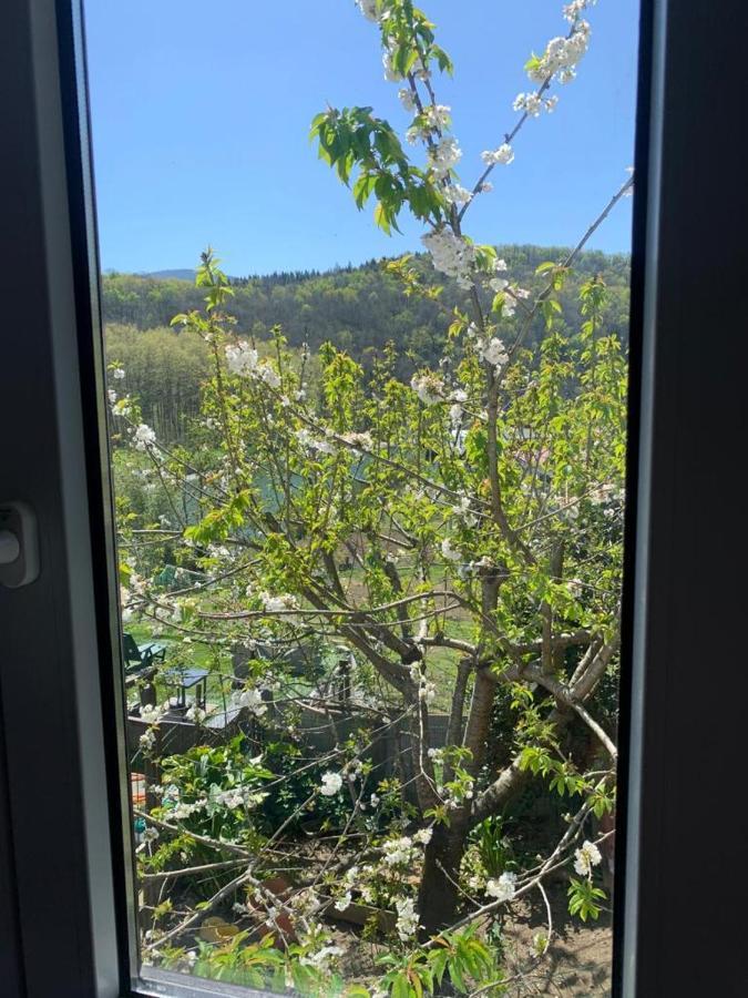El Naranjo, Reate Lss00277 Lägenhet Usúrbil Exteriör bild
